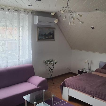 זנדה Nettes 2- Zimmer Apartment מראה חיצוני תמונה